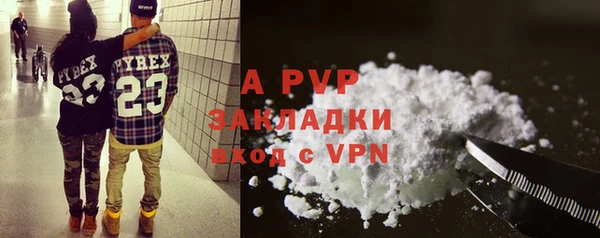 прущие грибы Михайловка