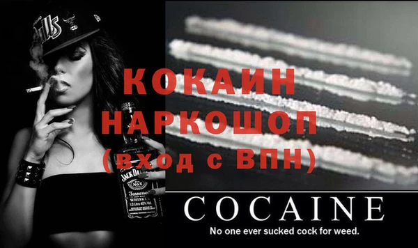 прущие грибы Михайловка