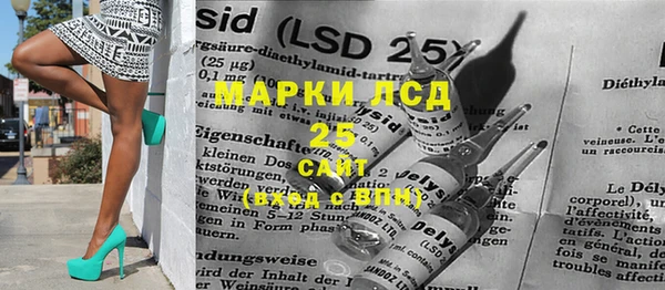 прущие грибы Михайловка