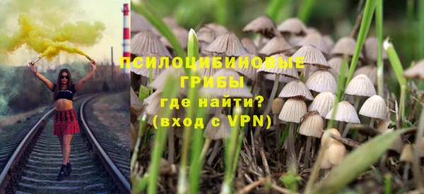 прущие грибы Михайловка