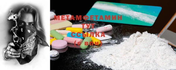 прущие грибы Михайловка